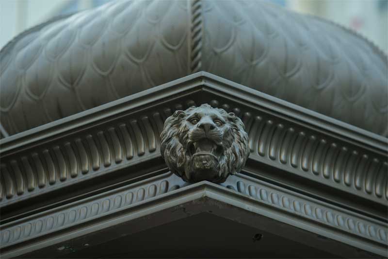 SUR LA TRACE DES LIONS_1