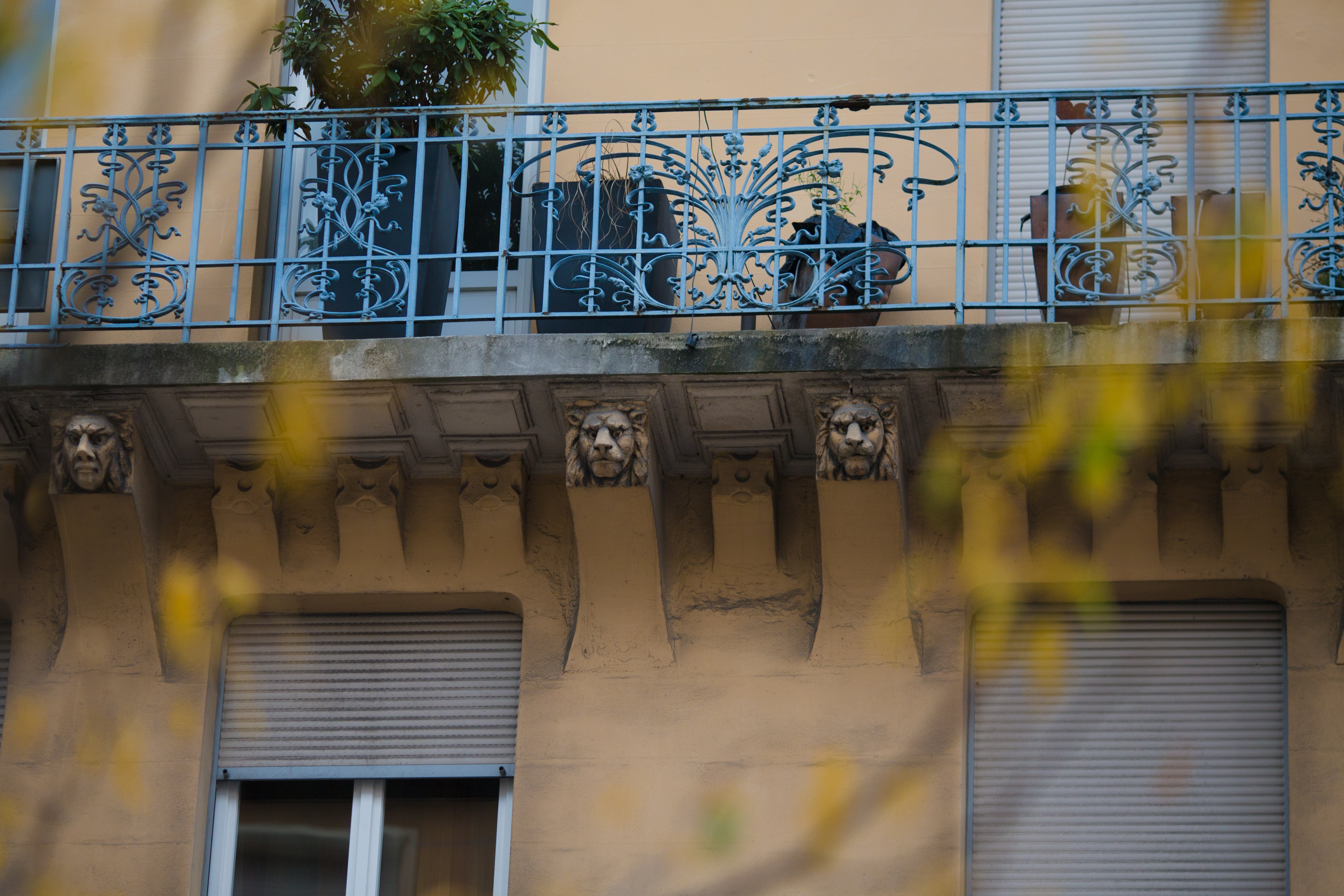 SUR LA TRACE DES LIONS_2