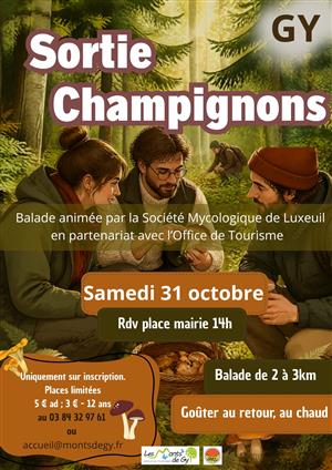 Sortie champignons à Gy 