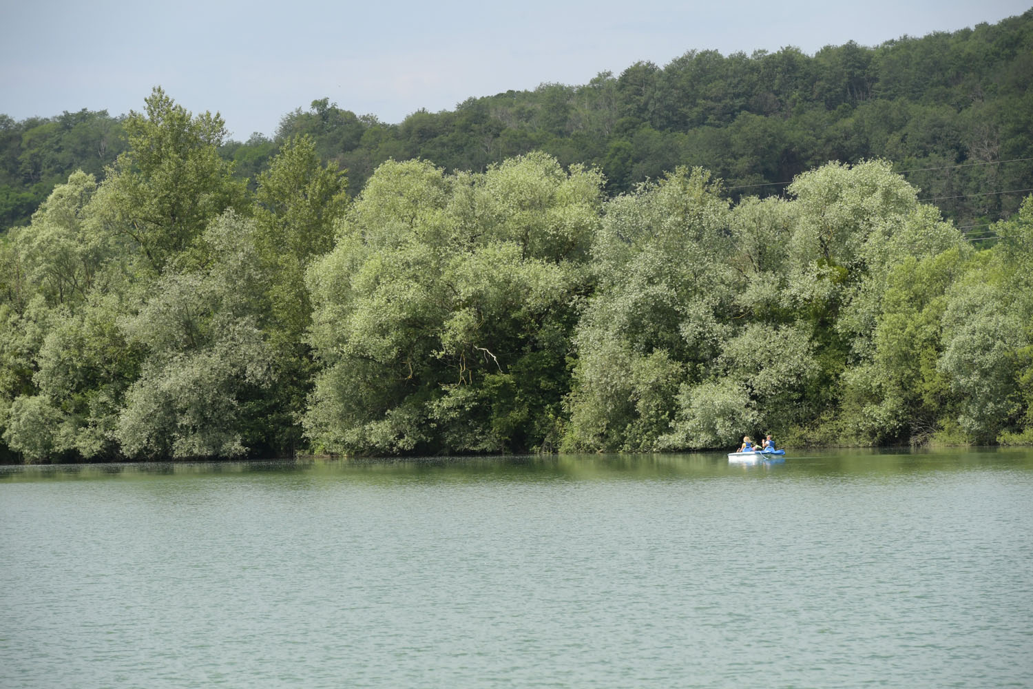 LES LACS D'OSSELLE - ANIMATIONS ÉTÉ : SORTIE NATURE AVEC LA LPO_4