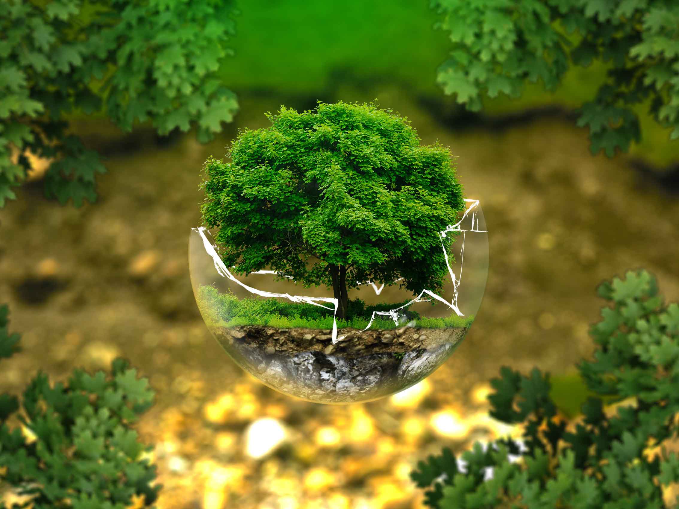 ATELIER 123 NATURE : JUSTIN PEU D'AIR_1