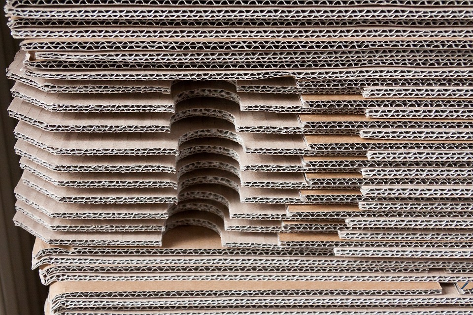 STAGE 123 NATURE : MEUBLE EN CARTON_1