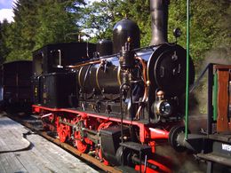 SORTIE EN PETIT TRAIN - LE CONI'FER_1