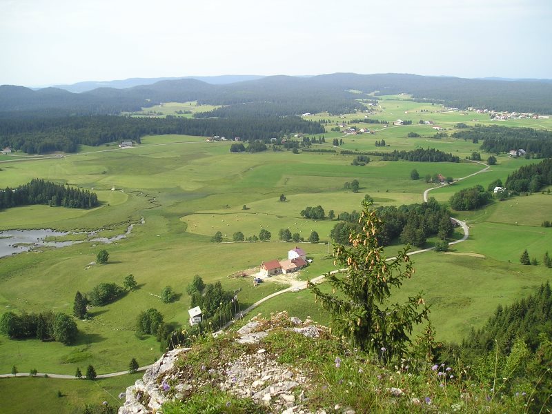 Belvédère - Roche Bernard