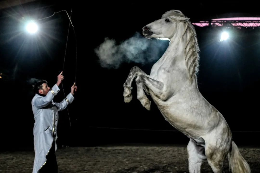 spectacle ecurie du cerneux