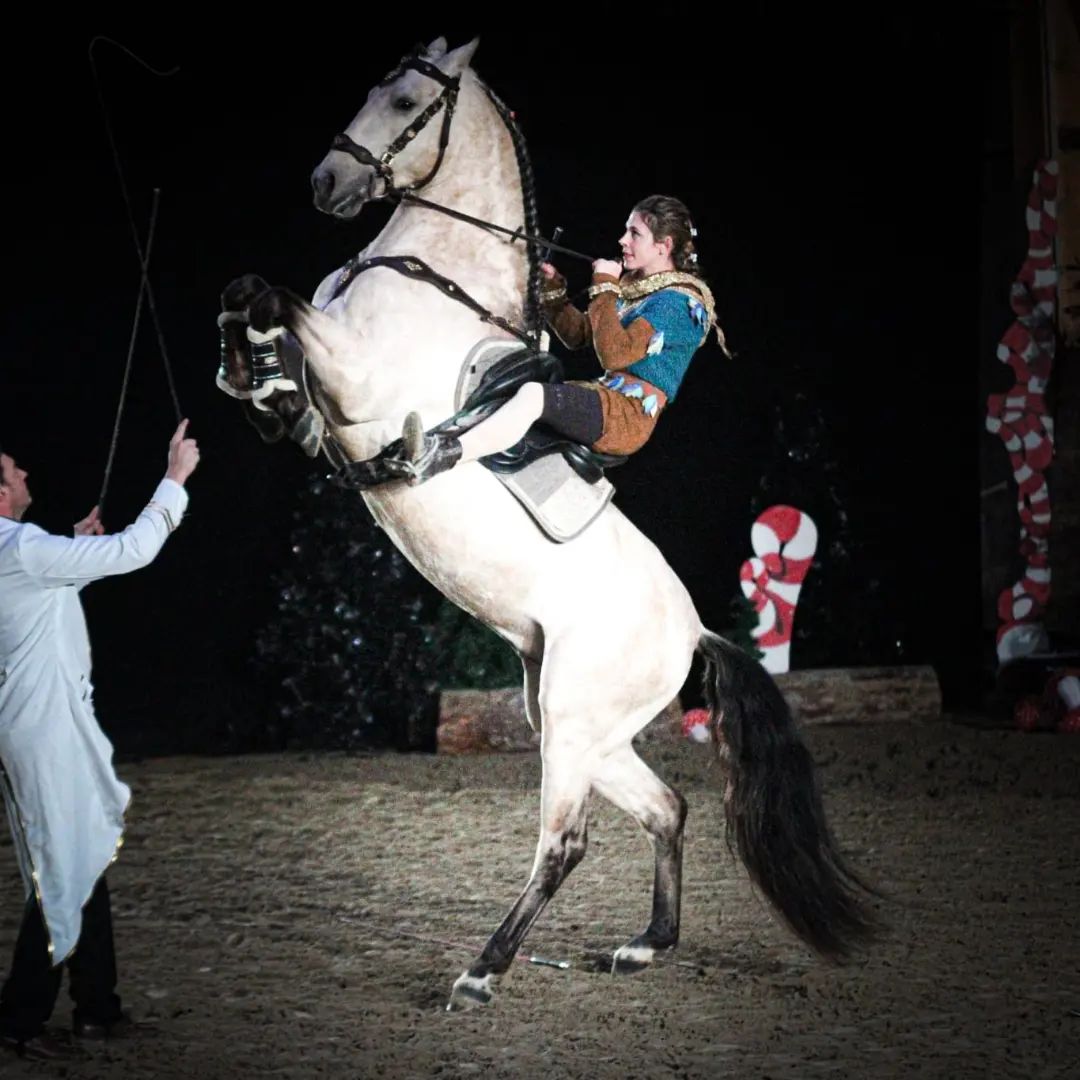 Spectacle ecurie du cerneux