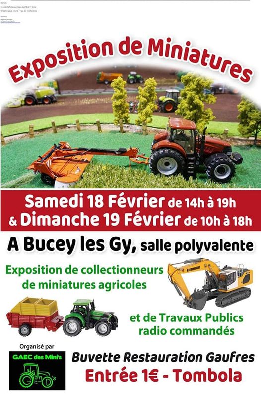 Exposition de miniatures Bucey lès Gy 