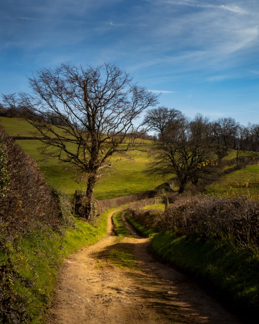 Circuit de randonnée : Chemin du Tacot, Alligny-en-Morvan - photo 3