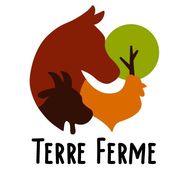 Média additionnel 2