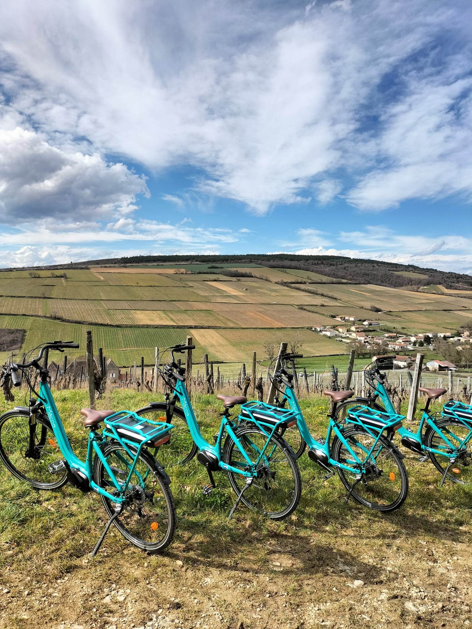 Station de location de vélos - Château de la Greffière