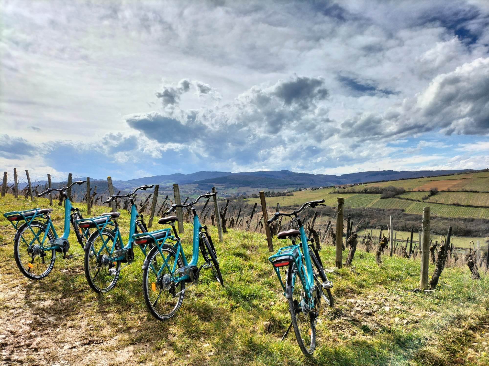 Vélos de location