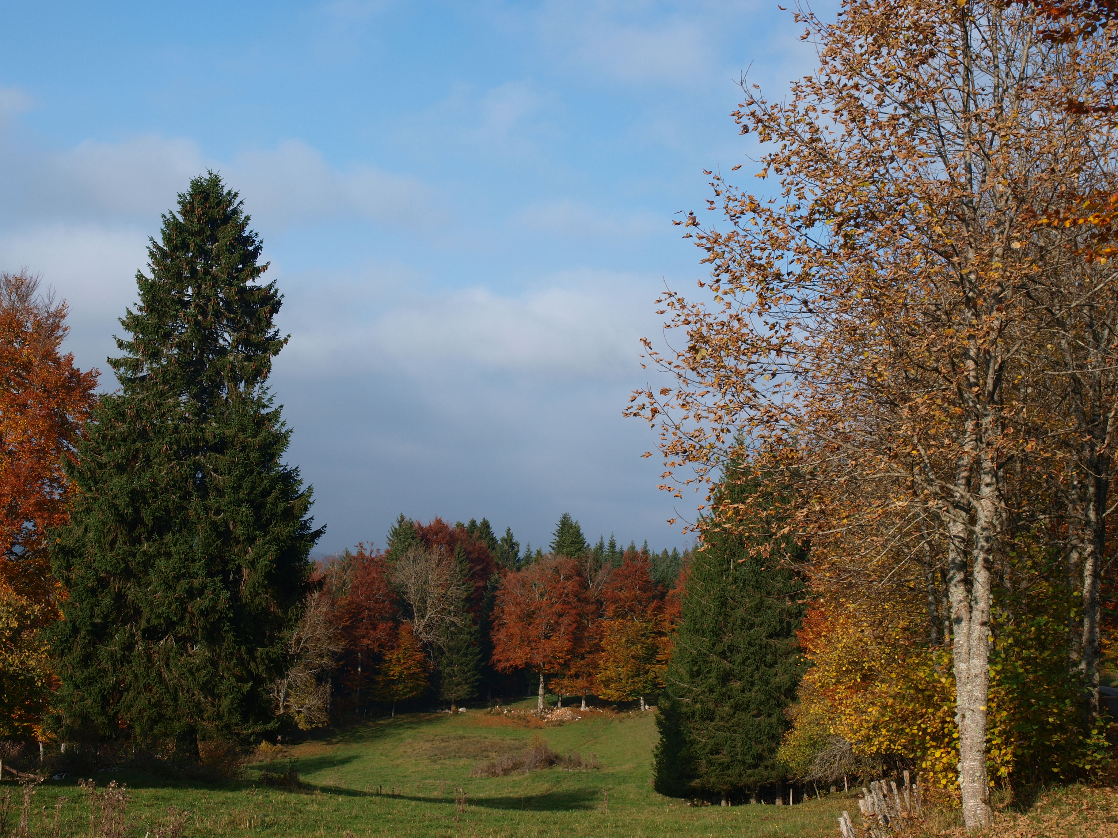Parcours d'Orientation