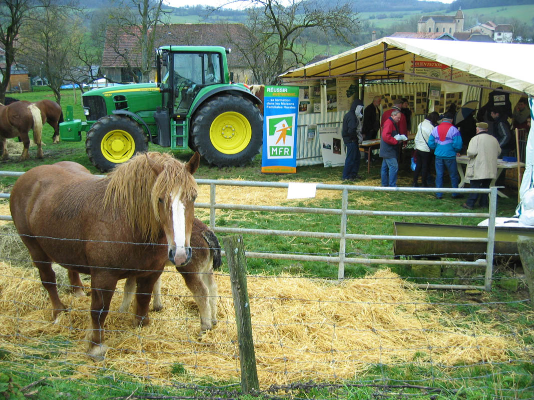 FOIRE DE GRAMMONT_6