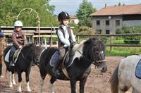 Poney Club le Picotin