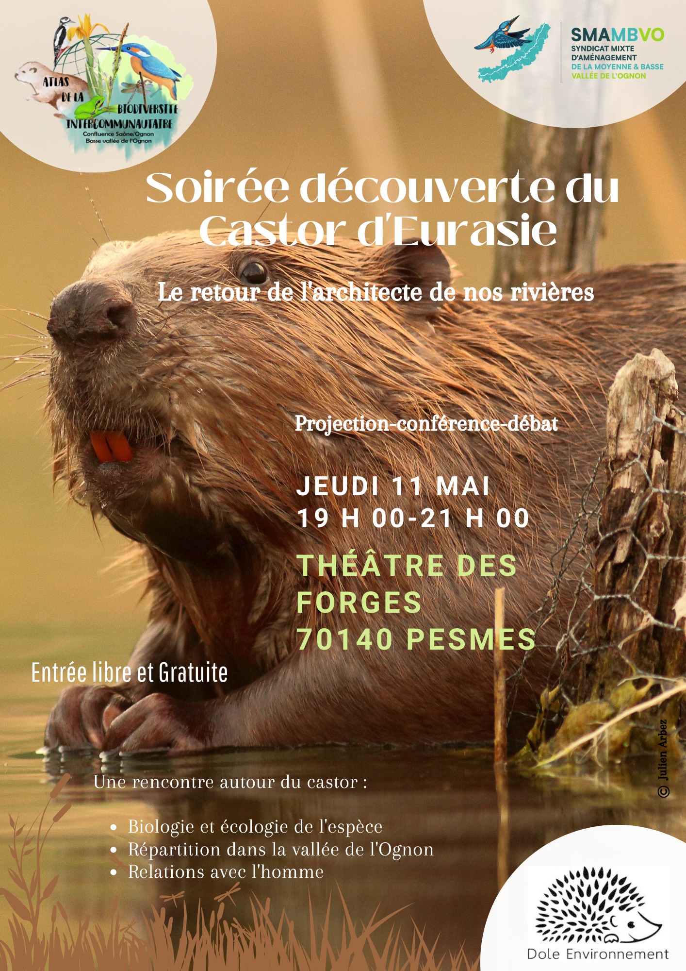 Soirée découverte castor d'Eurasie