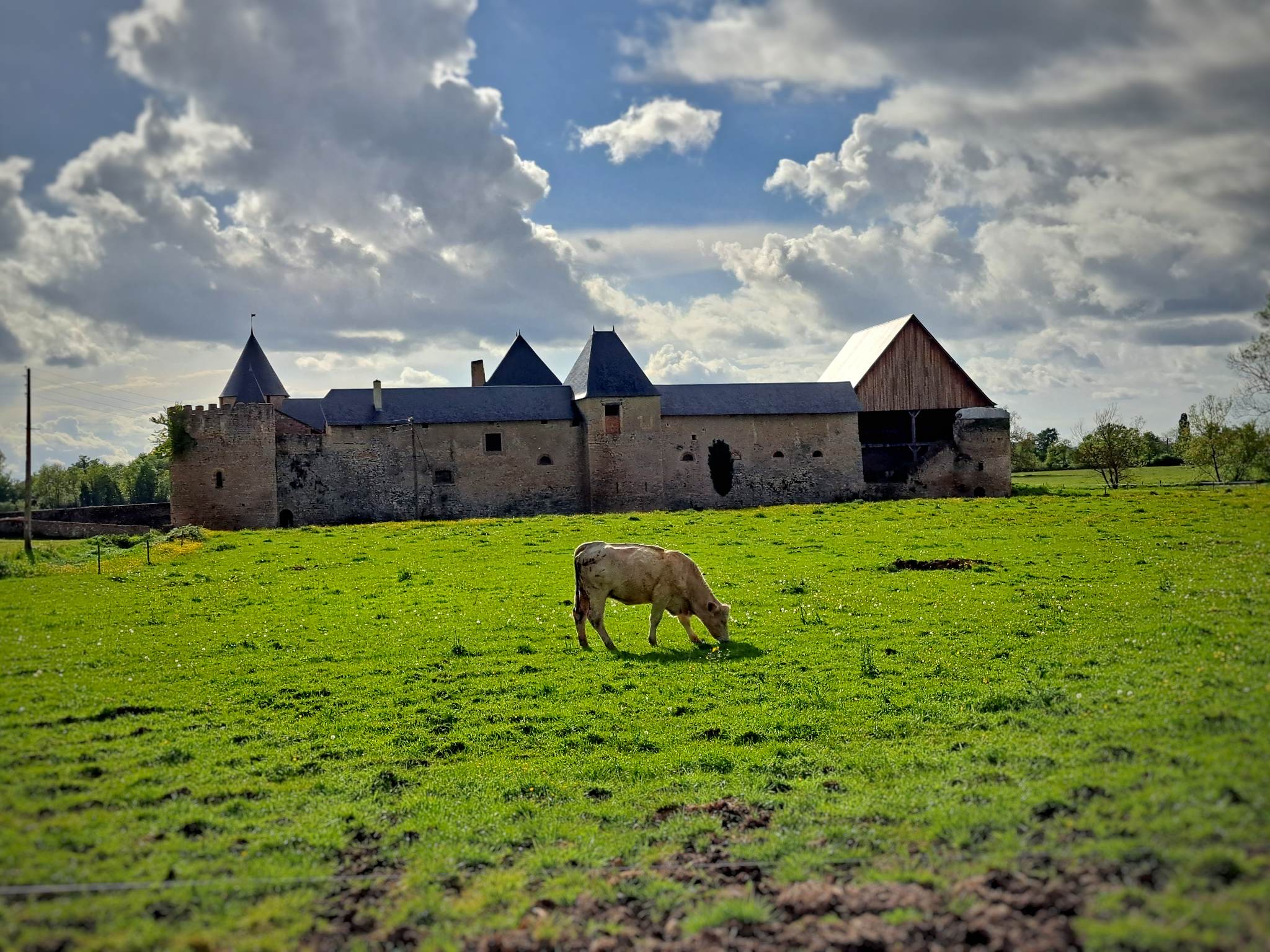 345242878_550262920374403_4447961112443527635_n