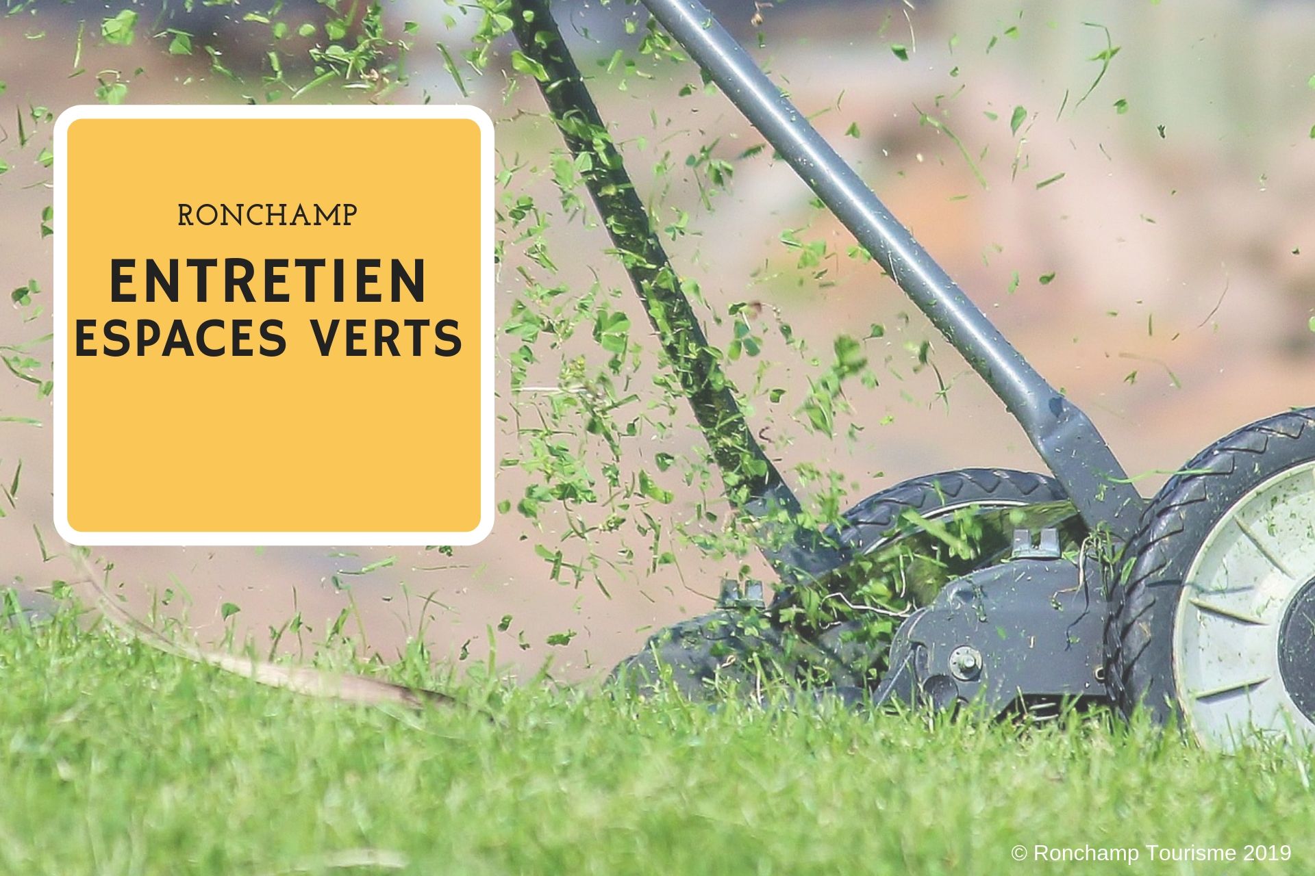 MILLE ESPACES VERTS_1