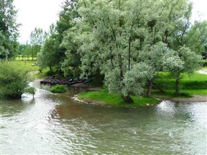 Camping Verte Rive