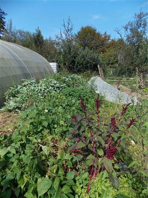 Le Jardin du Maquis