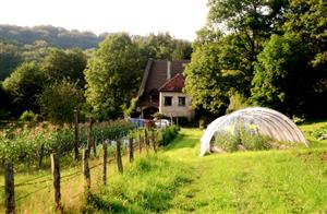 Les jardins de Vauvenise