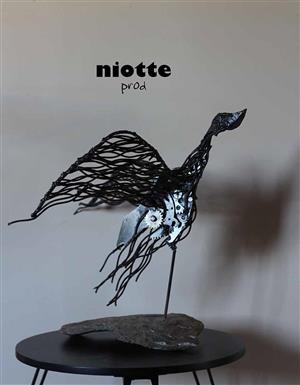 Niotte prod