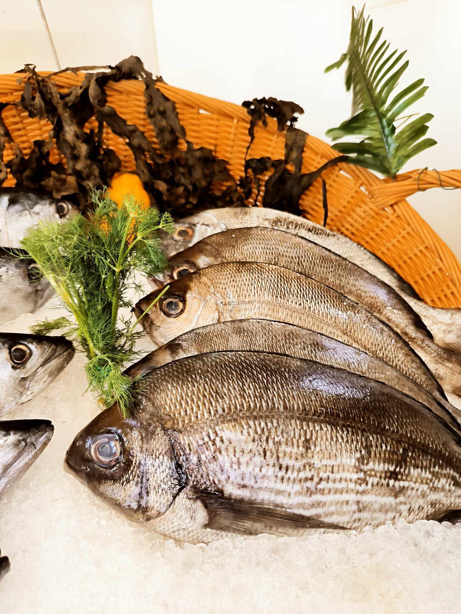 Le Chant Boréal - Poissonnerie ambulante