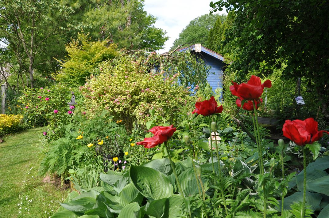 RENDEZ - VOUS AU JARDIN DE MÉLI-MÉLO_2
