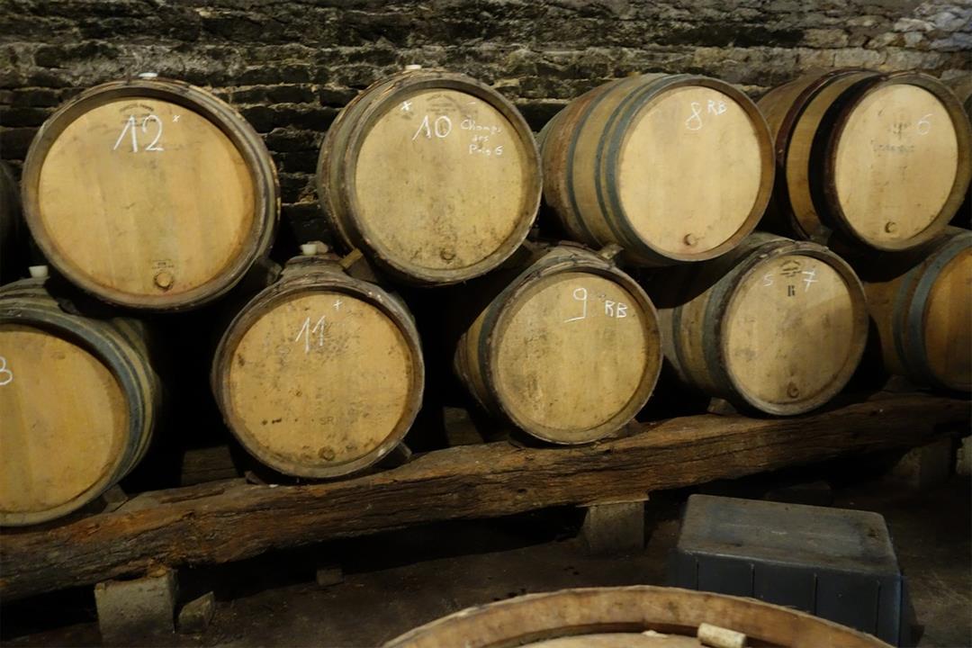 Le vignoble du Moutherot