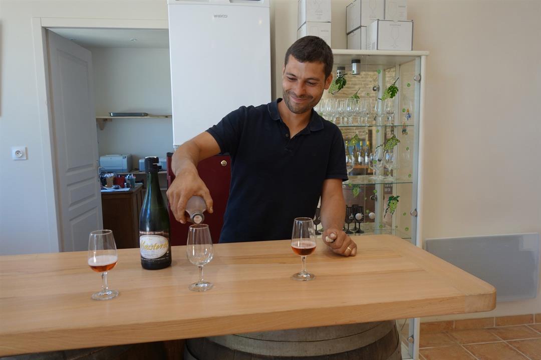 Le vignoble du Moutherot