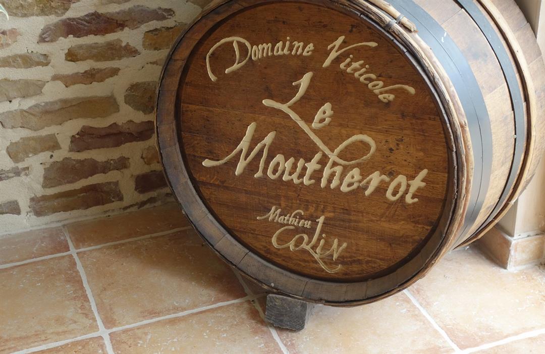 Le vignoble du Moutherot