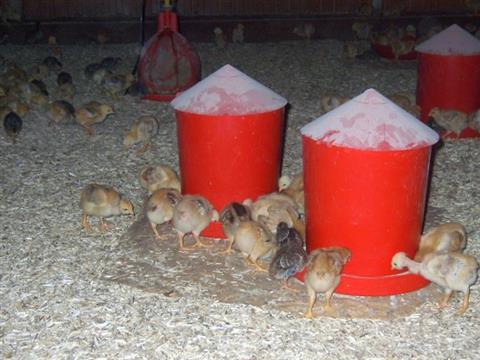 La Favière Enchantée