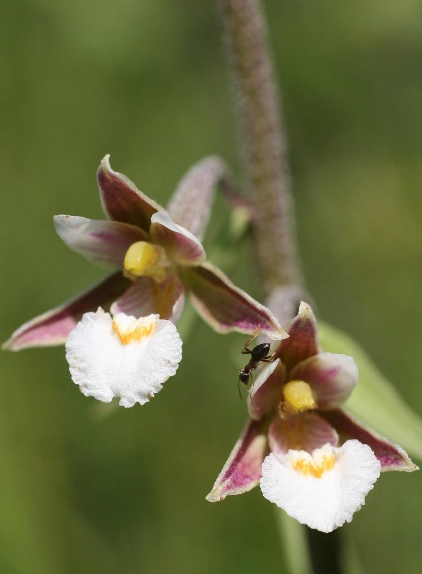 Réserve naturelle de Fontenelay