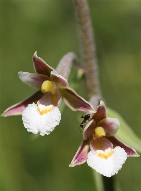 Réserve naturelle de Fontenelay