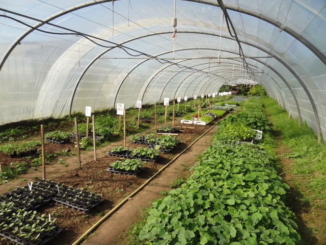 La Ferme du Chemin d'Acey