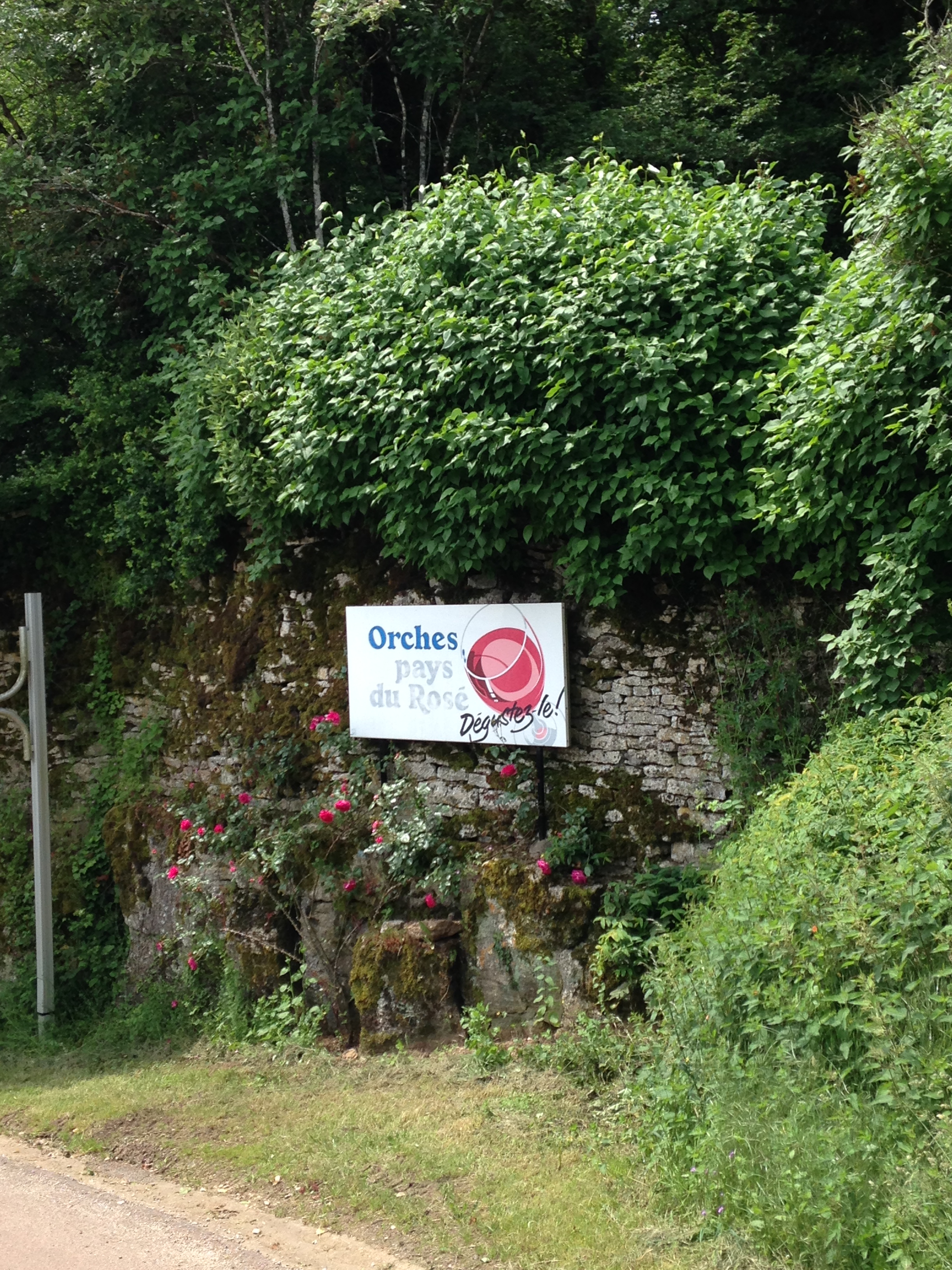 Orches pays du Rosé