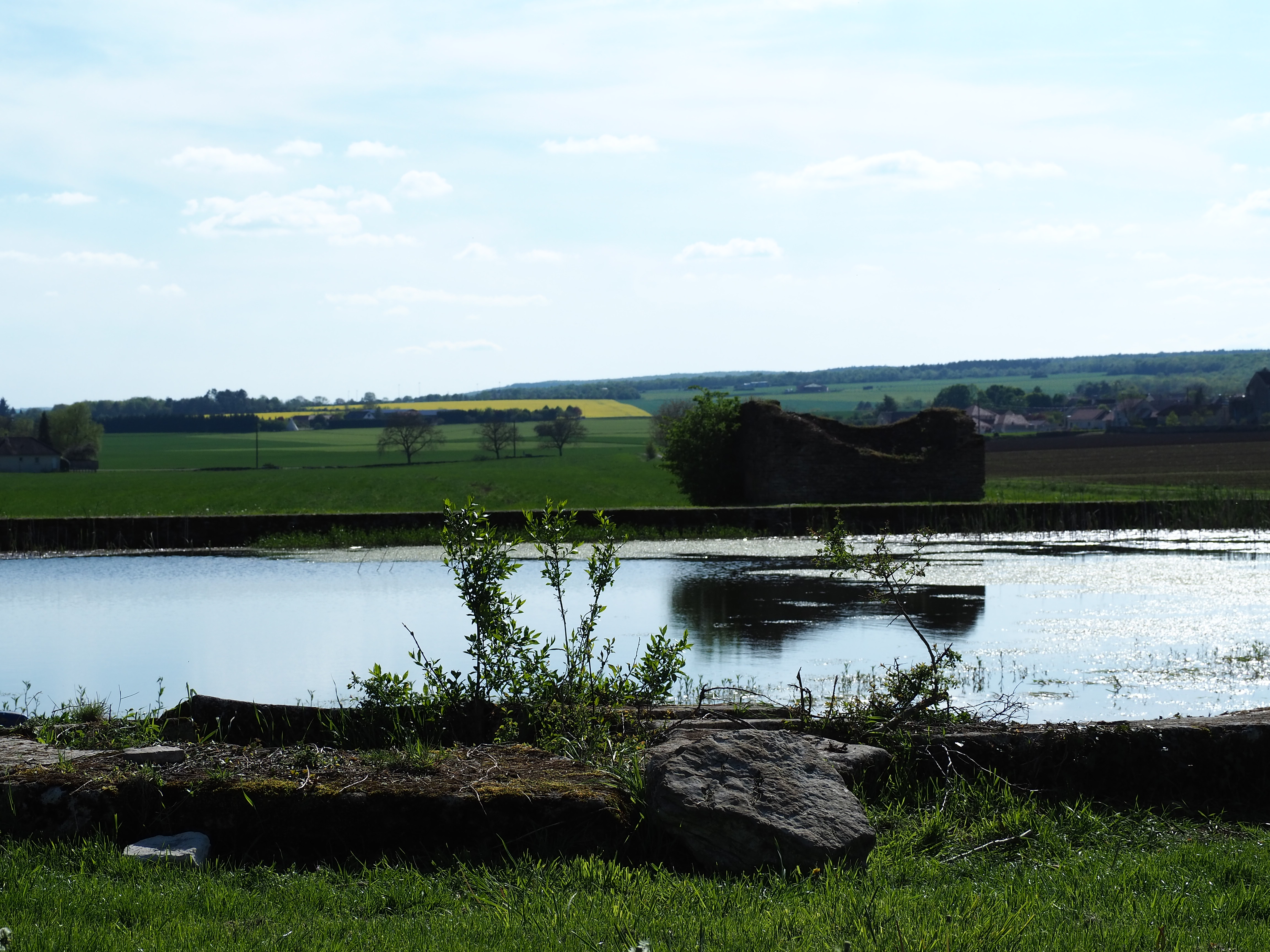 Visite parc animalier Fougerolles