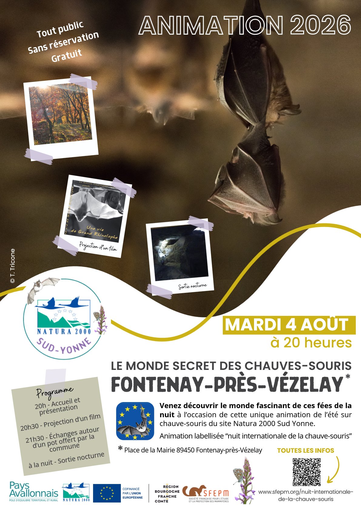 Le monde secret des chauves-souris
