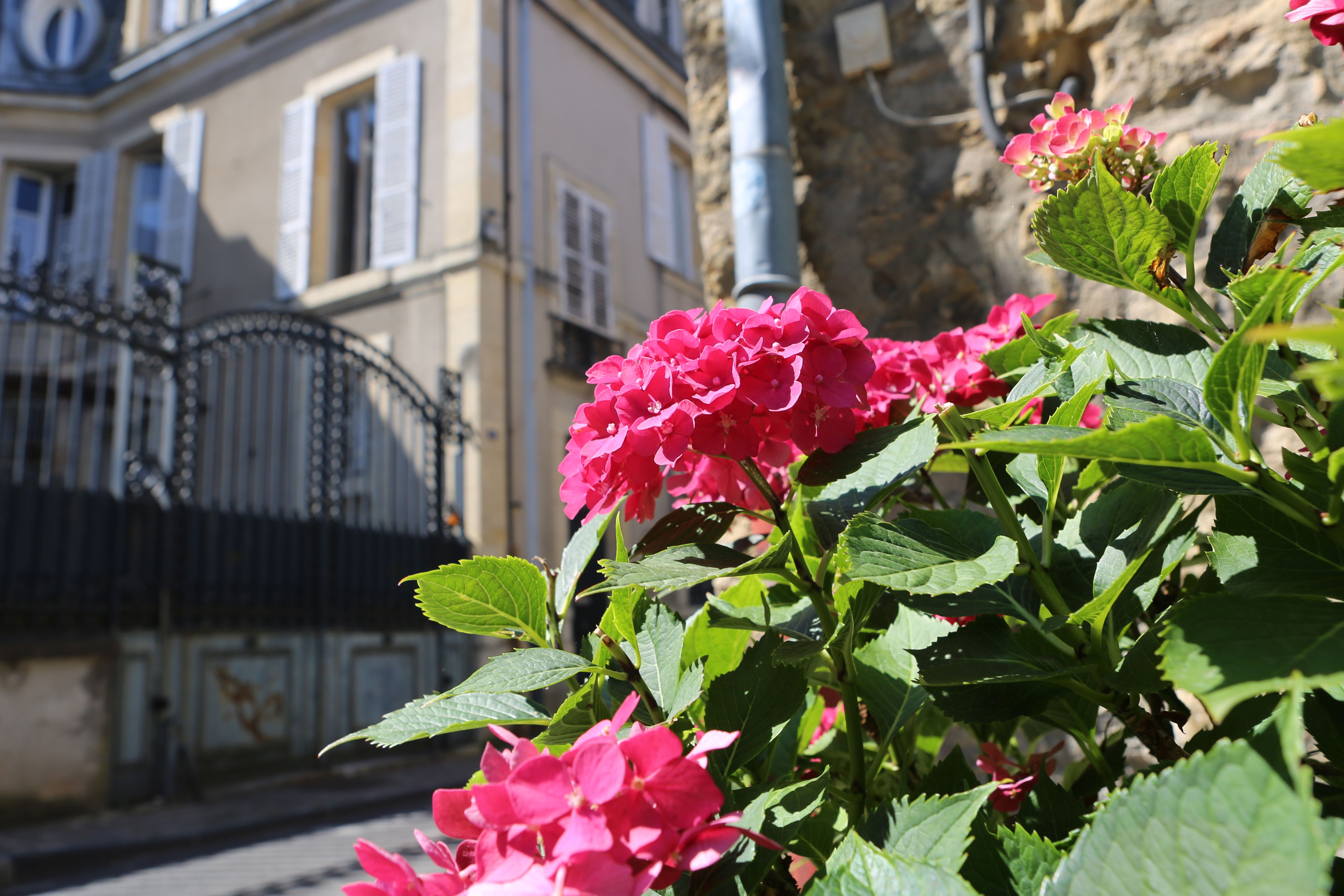Visite guidée : Ville en jaune