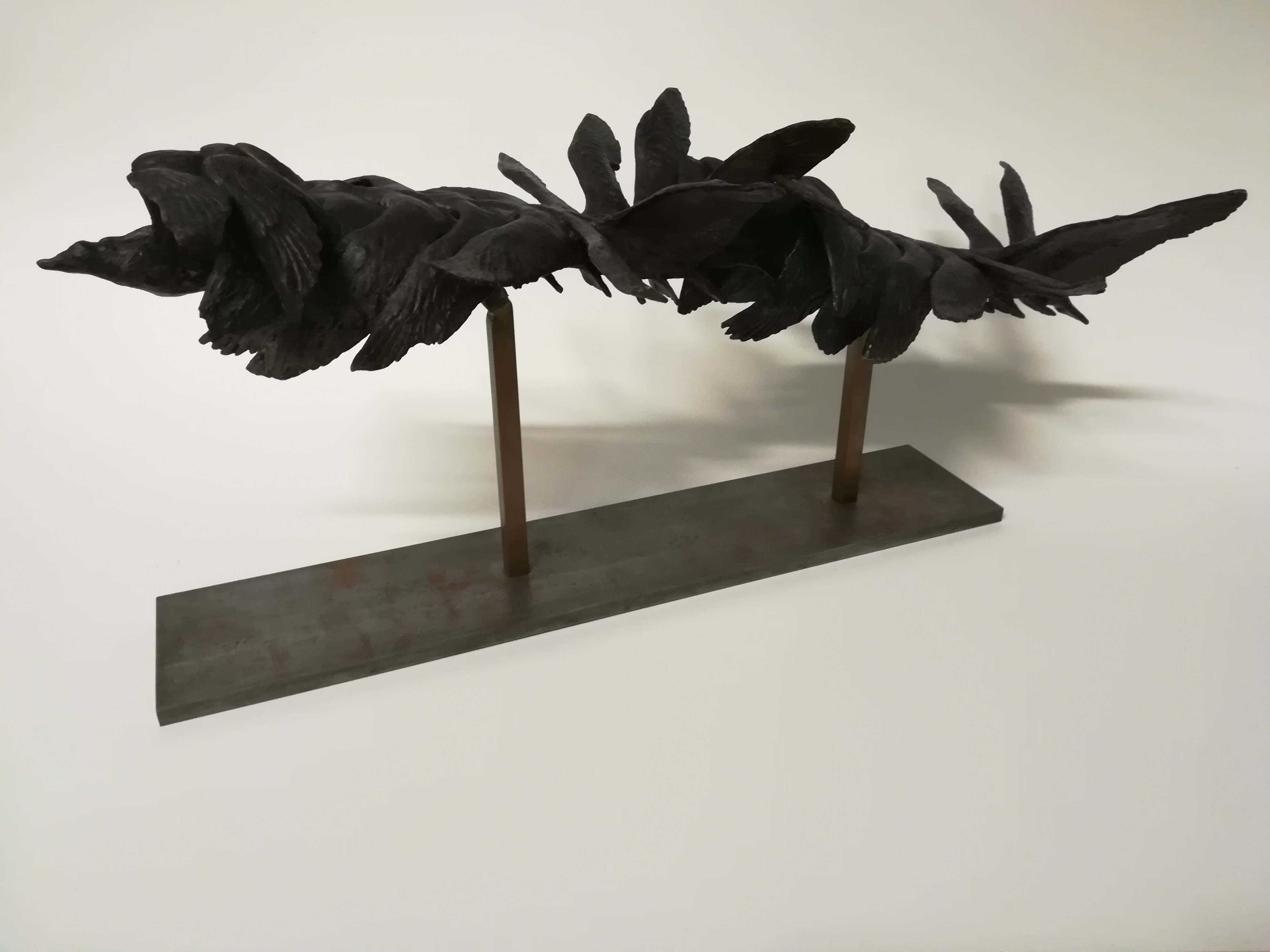 Décomosition du vol d'un goeland par Etienne Jules Marey 