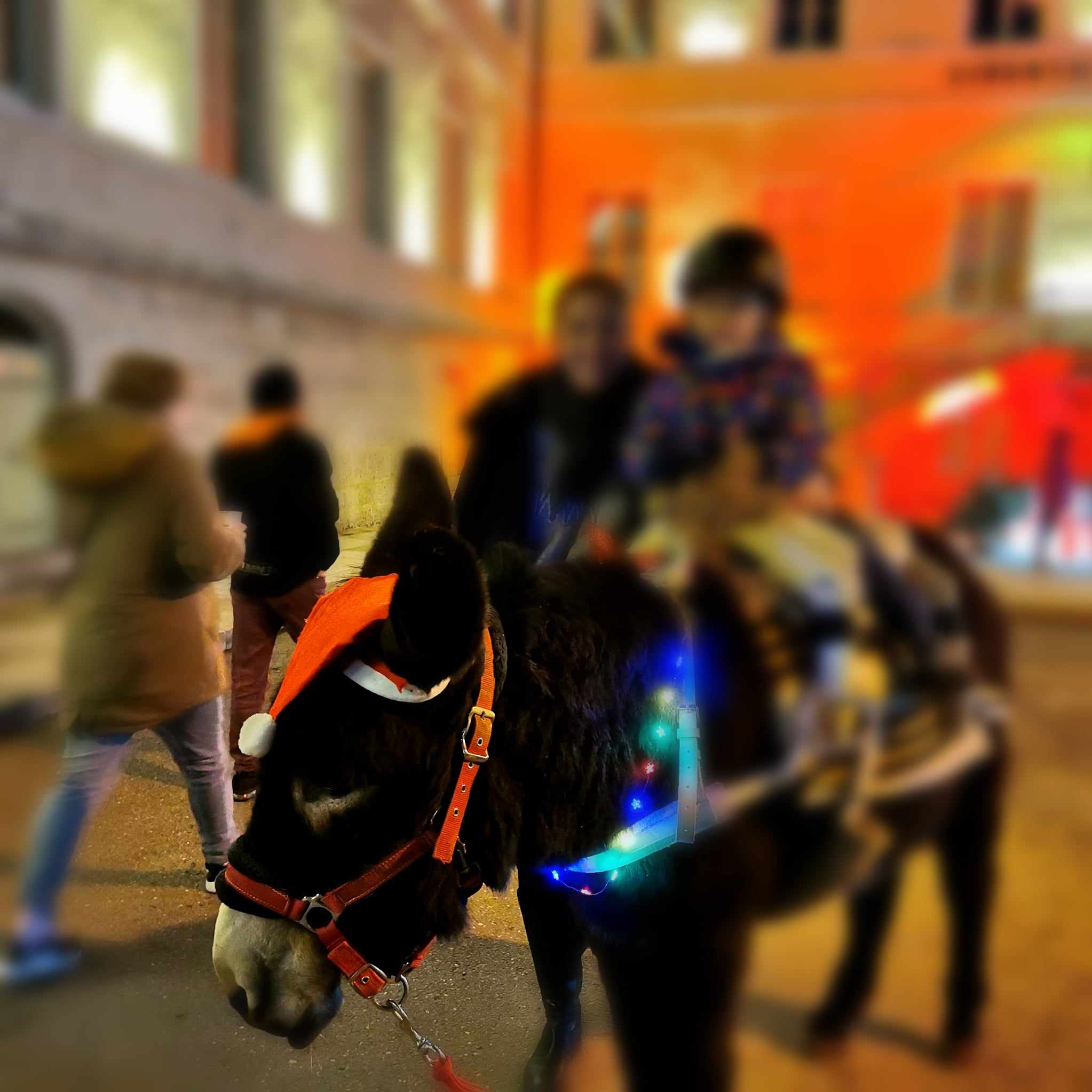 406807218_1562174401289259_3625284686034155587_n