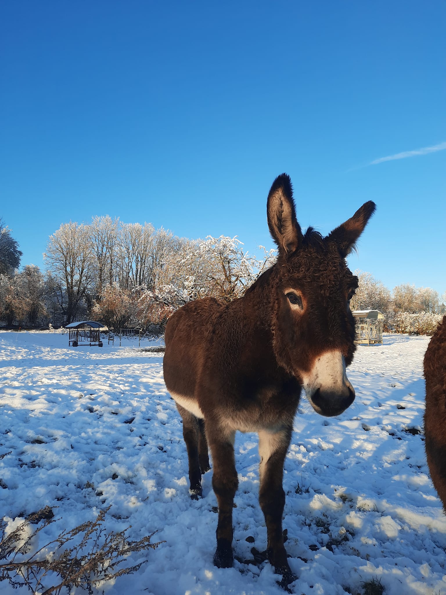 la flanerie d'audrey hiver