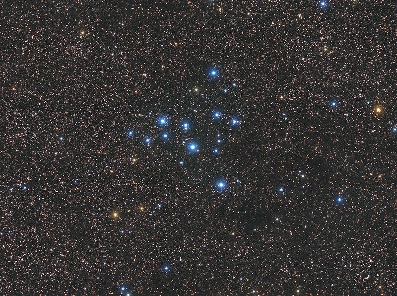 42664744374_771529fde9_c