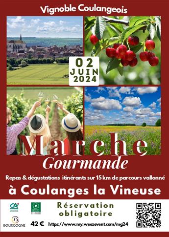 Marche gourmande du vignoble Coulangeois
