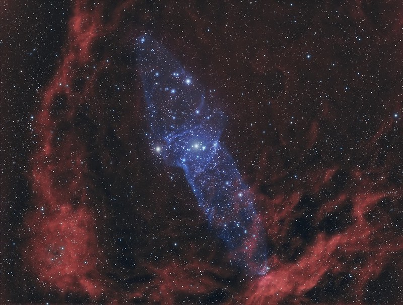 45405455121_071dab6d83_c