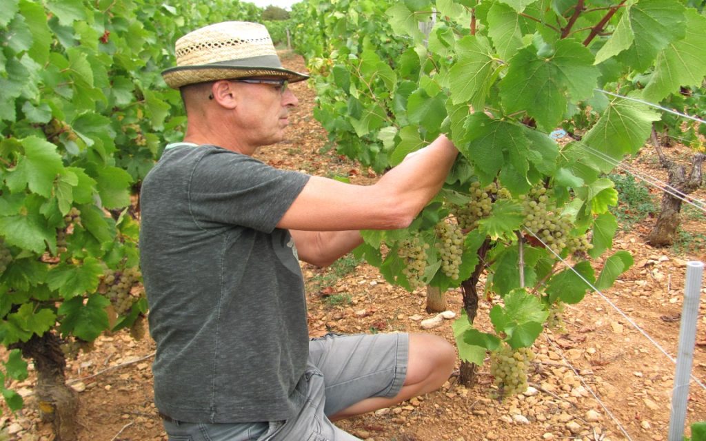 Denis Bouchacourt