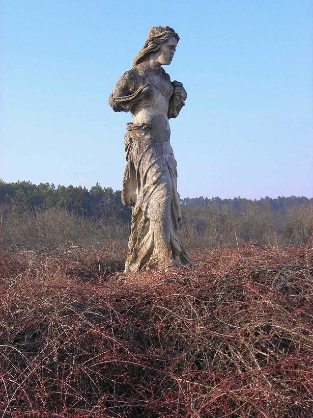 470_andre_beuchot_nuits_saint_georges_1