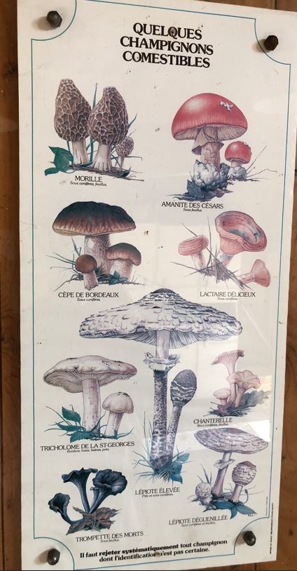 473654108_122200571018236146_8060245504958226092_n