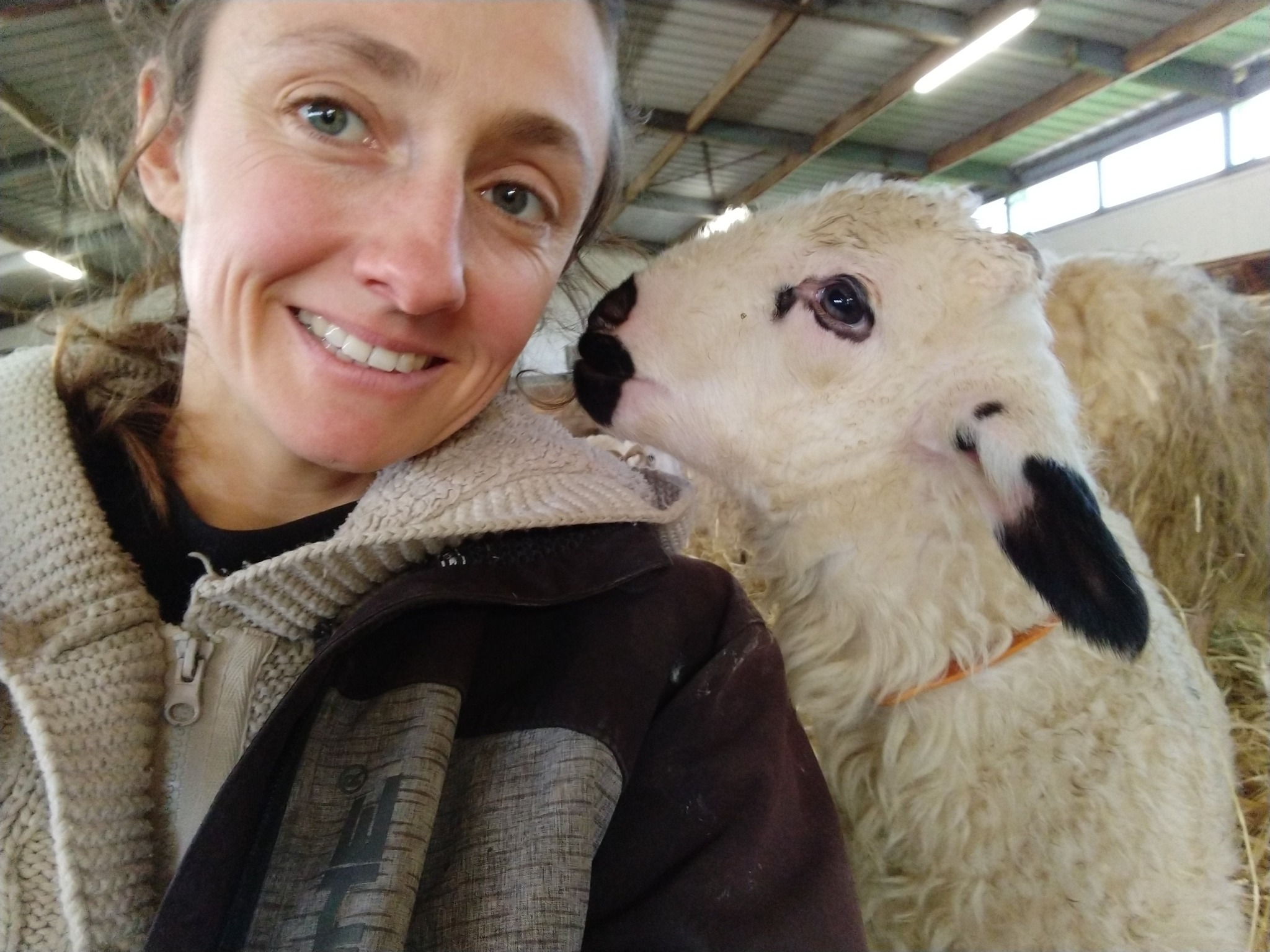 Ferme de Coline 1