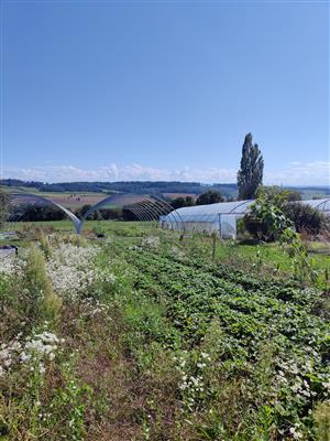 Les jardins de Linette