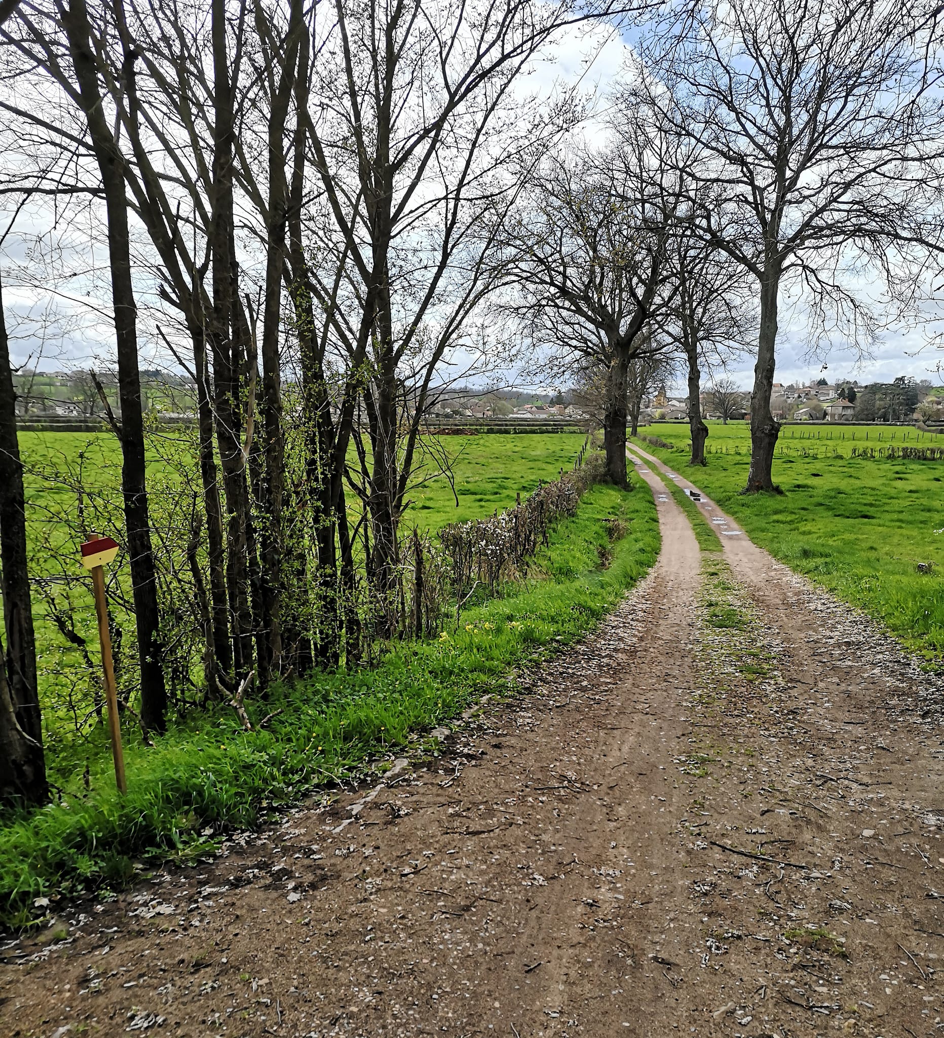 chemin
